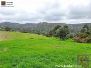 Pitsidia Süd Kreta, Pitsidia Grundstück 18.000m² zu verkaufen Grundstück kaufen